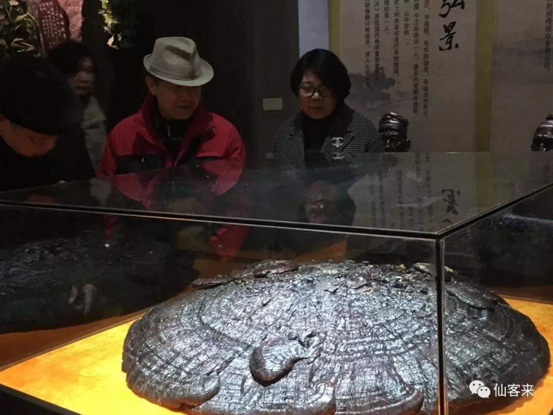中國靈芝十大品牌|仙客來靈芝|仙客來靈芝破壁孢子粉|仙客來孢子油|仙客來靈芝飲片|仙客來破壁孢子粉|仙客來靈芝中藥飲片|馳名商標(biāo)|www.carbatteryresident.com|