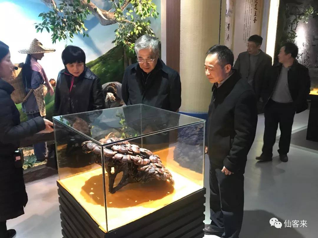 中國靈芝十大品牌|仙客來靈芝|仙客來靈芝破壁孢子粉|仙客來孢子油|仙客來靈芝飲片|仙客來破壁孢子粉|仙客來靈芝中藥飲片|馳名商標|www.carbatteryresident.com|