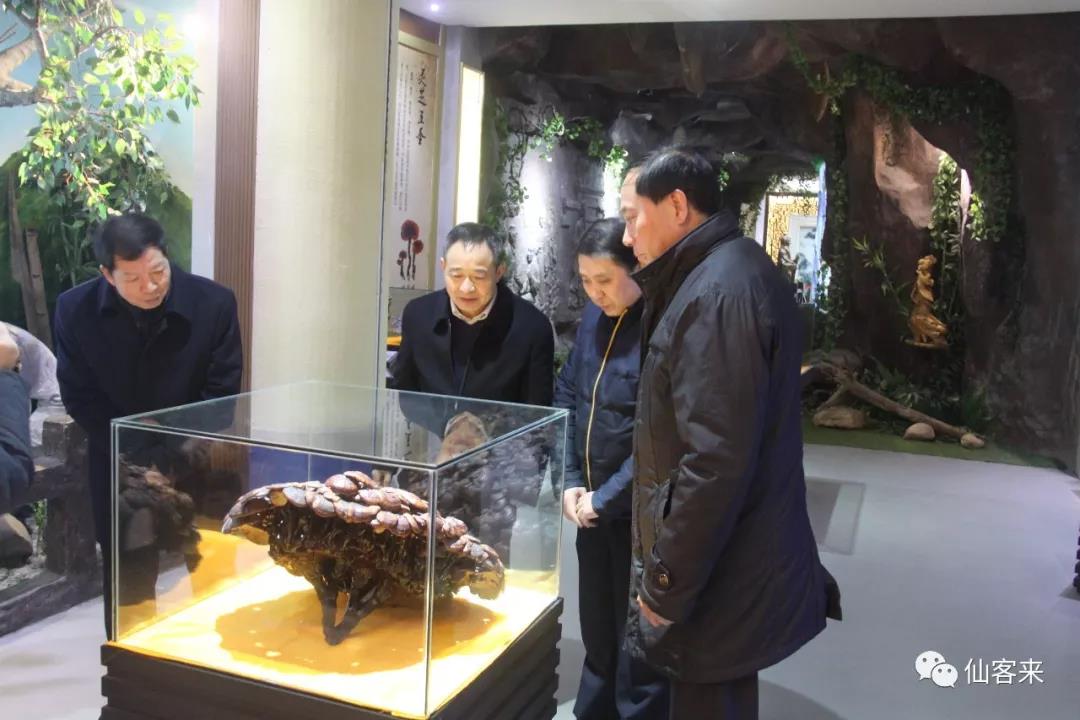 中國靈芝十大品牌|仙客來靈芝|仙客來靈芝破壁孢子粉|仙客來孢子油|仙客來靈芝飲片|仙客來破壁孢子粉|仙客來靈芝中藥飲片|馳名商標|www.carbatteryresident.com|