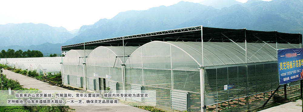 中國靈芝十大品牌|仙客來靈芝|仙客來靈芝破壁孢子粉|仙客來孢子油|仙客來靈芝飲片|仙客來破壁孢子粉|仙客來靈芝中藥飲片|馳名商標(biāo)|www.carbatteryresident.com|