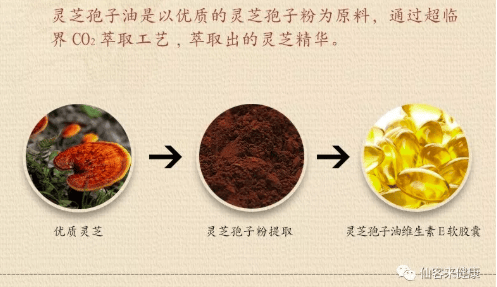 中國靈芝十大品牌|仙客來靈芝|仙客來靈芝破壁孢子粉|仙客來孢子油|仙客來靈芝飲片|仙客來破壁孢子粉|仙客來靈芝中藥飲片|馳名商標|www.carbatteryresident.com|