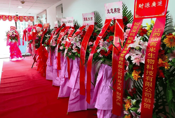 中國靈芝十大品牌|仙客來靈芝|仙客來靈芝破壁孢子粉|仙客來孢子油|仙客來靈芝飲片|仙客來破壁孢子粉|仙客來靈芝中藥飲片|馳名商標|www.carbatteryresident.com|