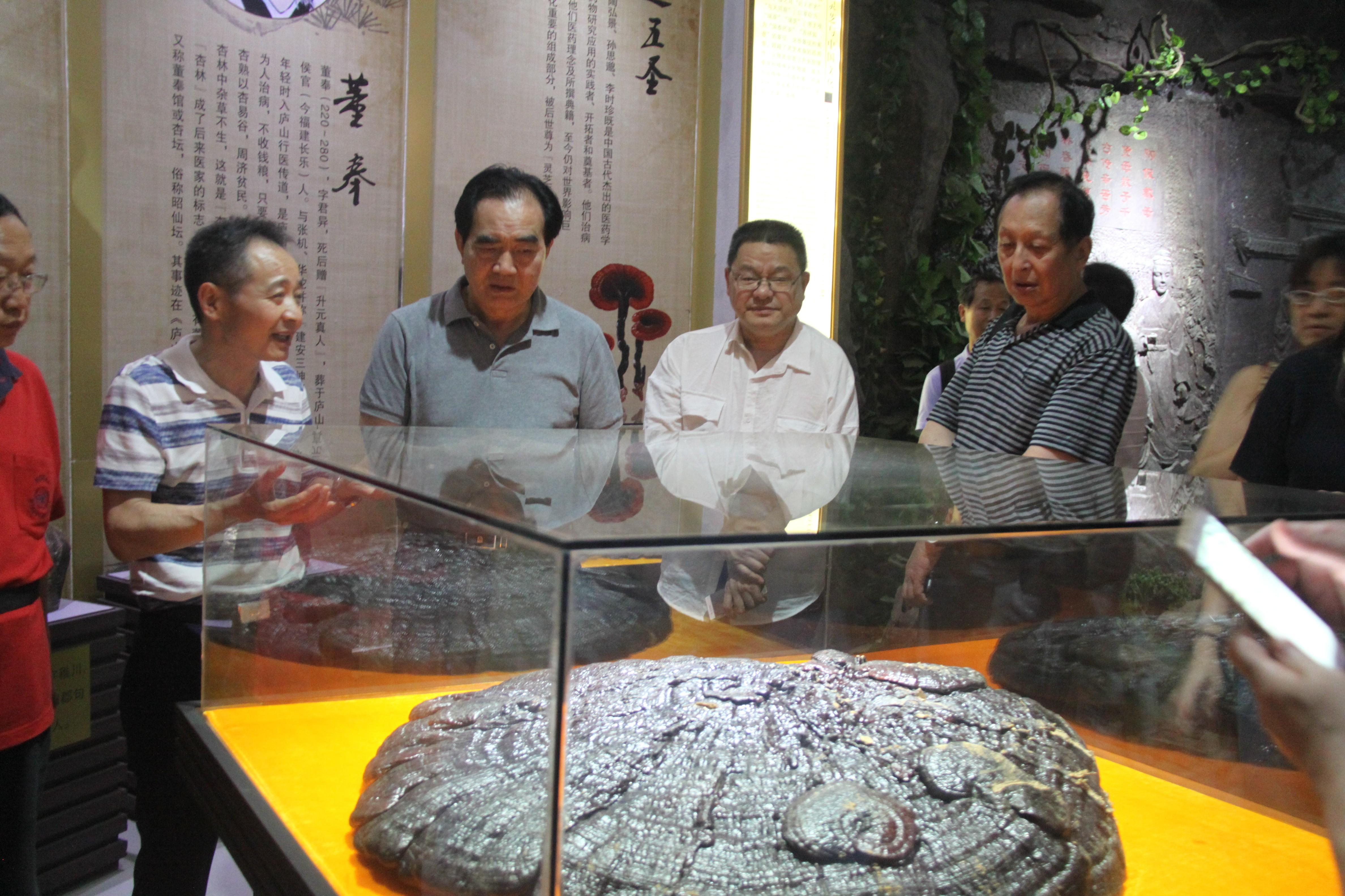 中國(guó)靈芝十大品牌|仙客來靈芝|仙客來靈芝破壁孢子粉|仙客來孢子油|仙客來靈芝飲片|仙客來破壁孢子粉|仙客來靈芝中藥飲片|馳名商標(biāo)|www.carbatteryresident.com|