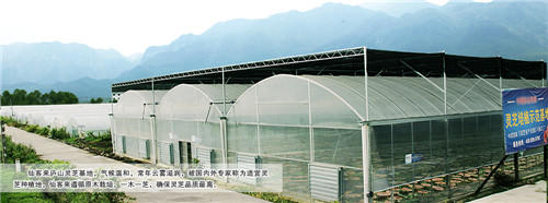 中國靈芝十大品牌|仙客來靈芝|仙客來靈芝破壁孢子粉|仙客來孢子油|仙客來靈芝飲片|仙客來破壁孢子粉|仙客來靈芝中藥飲片|馳名商標(biāo)|www.carbatteryresident.com|