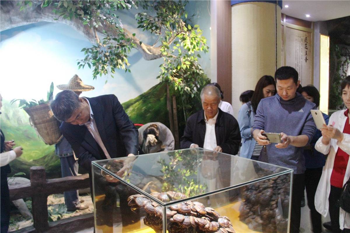 中國靈芝十大品牌|仙客來靈芝|仙客來靈芝破壁孢子粉|仙客來孢子油|仙客來靈芝飲片|仙客來破壁孢子粉|仙客來靈芝中藥飲片|馳名商標(biāo)|www.carbatteryresident.com|