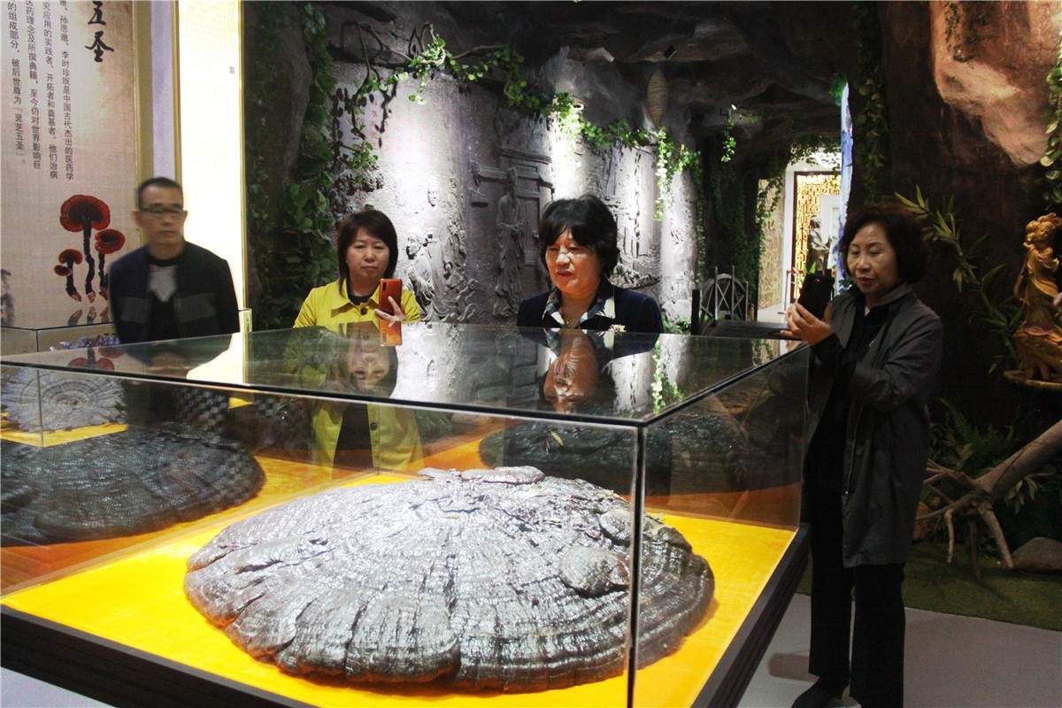 中國靈芝十大品牌|仙客來靈芝|仙客來靈芝破壁孢子粉|仙客來孢子油|仙客來靈芝飲片|仙客來破壁孢子粉|仙客來靈芝中藥飲片|馳名商標|www.carbatteryresident.com|