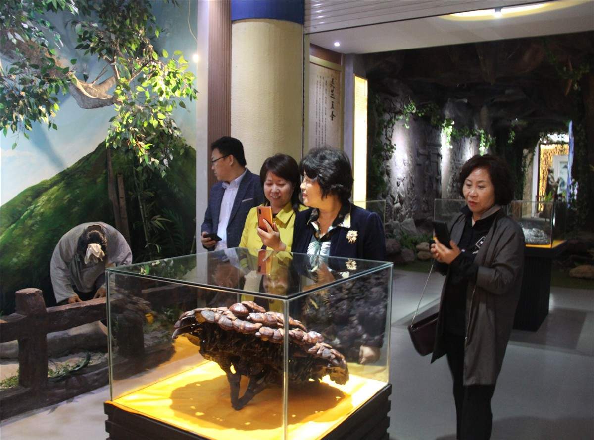 中國靈芝十大品牌|仙客來靈芝|仙客來靈芝破壁孢子粉|仙客來孢子油|仙客來靈芝飲片|仙客來破壁孢子粉|仙客來靈芝中藥飲片|馳名商標|www.carbatteryresident.com|
