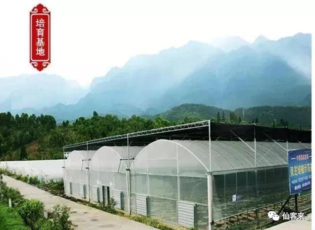 中國(guó)靈芝十大品牌|仙客來靈芝|仙客來靈芝破壁孢子粉|仙客來孢子油|仙客來靈芝飲片|仙客來破壁孢子粉|仙客來靈芝中藥飲片|馳名商標(biāo)|www.carbatteryresident.com|