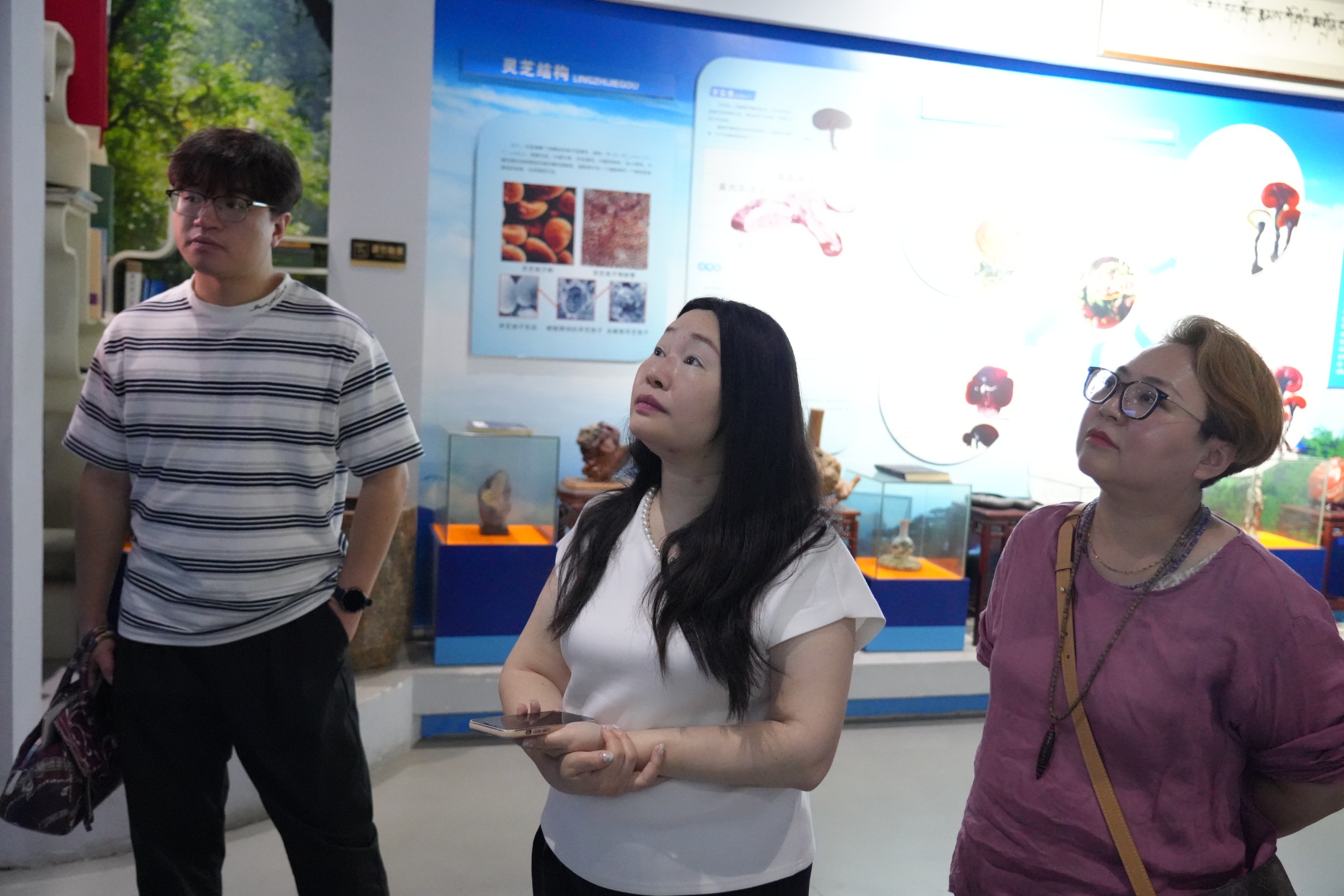 杭州亞運(yùn)會官方靈芝產(chǎn)品供應(yīng)商|杭州亞運(yùn)會官方供應(yīng)商|中國靈芝十大品牌|仙客來靈芝|仙客來靈芝破壁孢子粉|仙客來孢子油|仙客來靈芝飲片|仙客來破壁孢子粉|靈芝孢子油|孢子粉|靈芝破壁孢子粉|靈芝|中華老字號