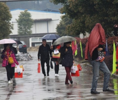九江暴雨，仙客來(lái)“暴游”