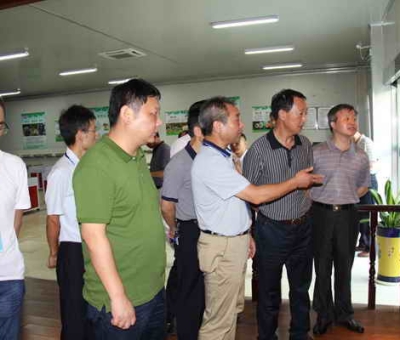 德安縣委、人大、政協(xié)領(lǐng)導(dǎo)考察仙客來(lái)公司