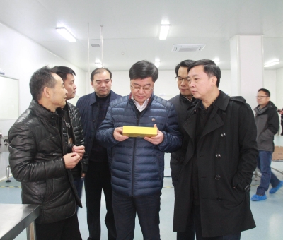 江西省檢察院黨組成員、副檢察長徐勝平一行來公司走訪調(diào)研
