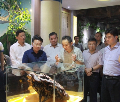 “降成本，優(yōu)環(huán)境”助企業(yè)騰飛——江西省政協(xié)副主席率團調研仙客來！