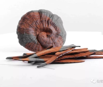 先，鮮，仙，一杯飲盡天下鮮。