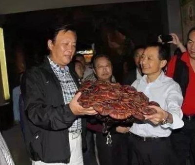 這樣過三月才是人生贏家！