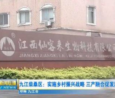 中國人只需要“別具”，缺失了“匠心”！