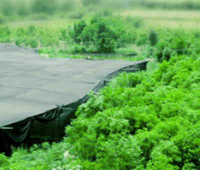 感謝廬山吧，這會(huì)是一場(chǎng)“仙旅情緣”