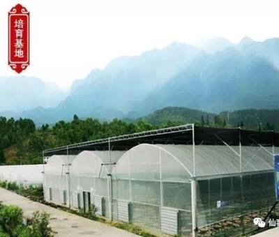 增強(qiáng)免疫力保健食品原料，它排第一