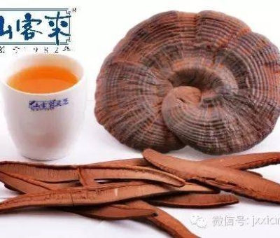 熱潮不斷！仙客來有機(jī)靈芝被點贊刷屏