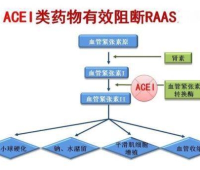 不吃藥，能降低高血壓？