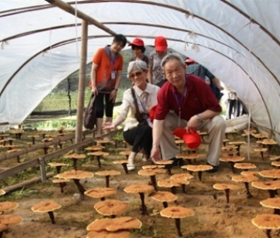 “七一勛章”獲得者張桂梅背后的故事：他們將靈芝磨成粉，送給她拌飯吃，說，吃這些能治病