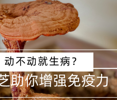 靈芝，預(yù)防您夏季上“火”
