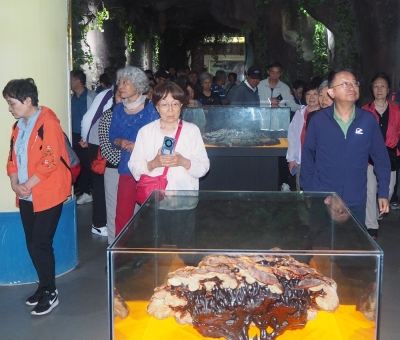 深深靈芝情！中華全國(guó)供銷合作總社再訪仙客來