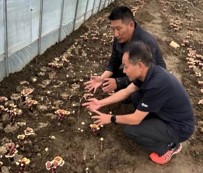 助力少數(shù)民族地區(qū)發(fā)展！潘新華應(yīng)邀前往西藏拉薩市和林芝市 共商產(chǎn)業(yè)發(fā)展良策