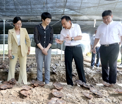 江西省委常委、宣傳部部長(zhǎng)盧小青深入廬山市通書院村靈芝基地調(diào)研