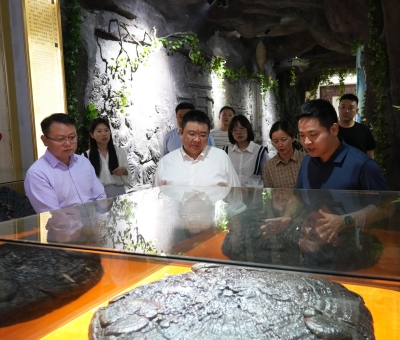 省工信廳副廳長(zhǎng)江紹龍一行蒞臨仙客來(lái)調(diào)研